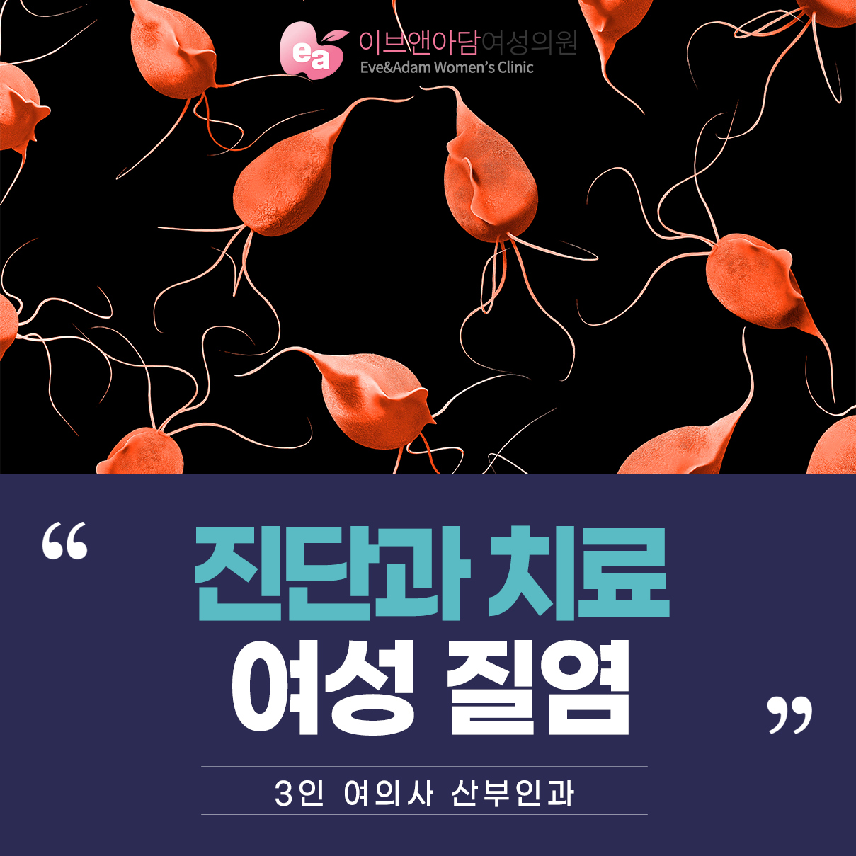생식기관 감염